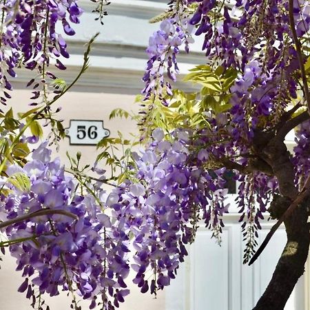 Bed and Breakfast Wisteria Fontainebleau Zewnętrze zdjęcie