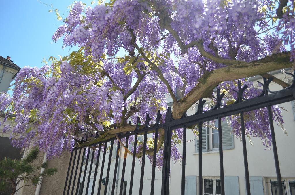 Bed and Breakfast Wisteria Fontainebleau Zewnętrze zdjęcie