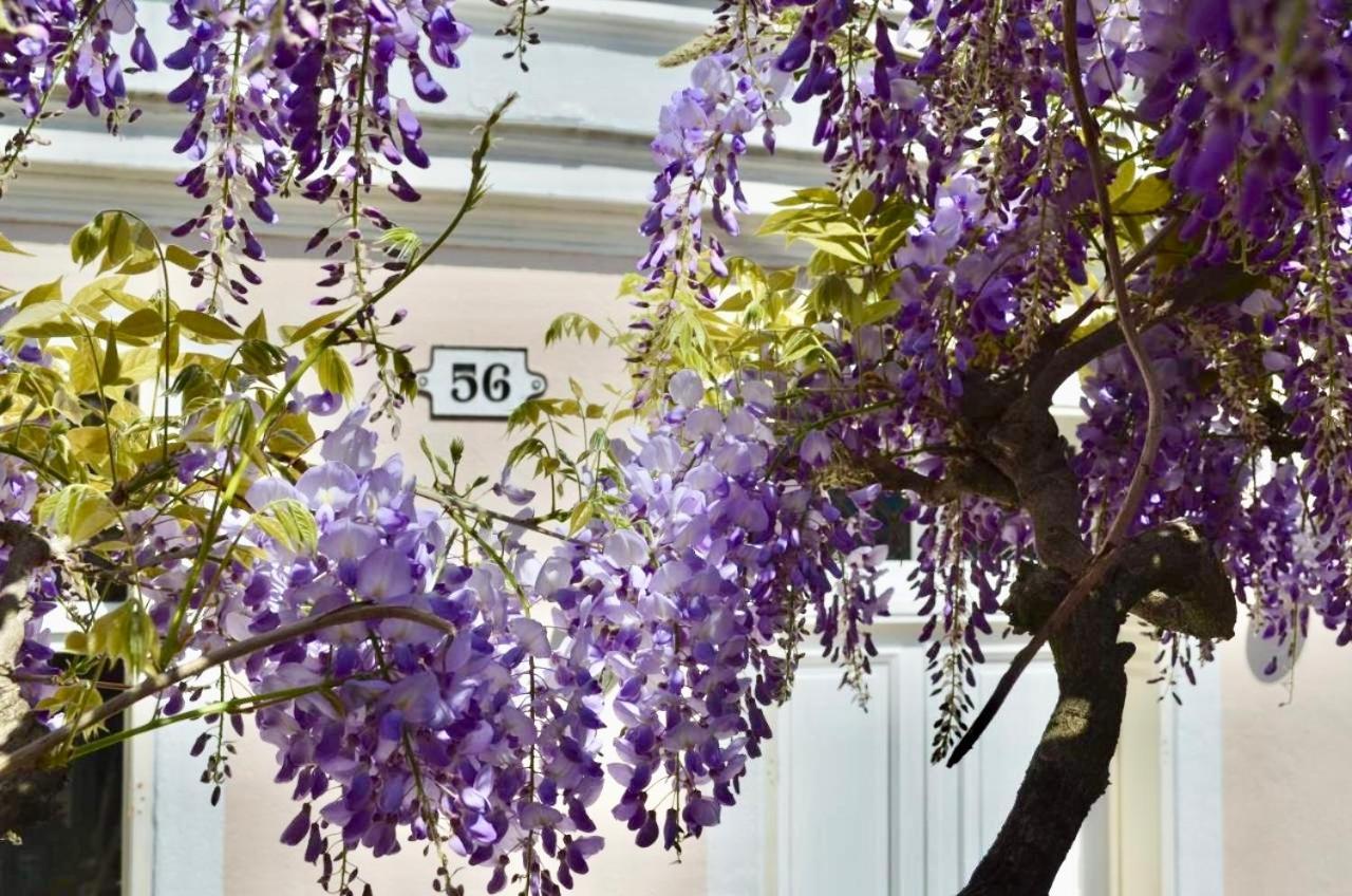 Bed and Breakfast Wisteria Fontainebleau Zewnętrze zdjęcie