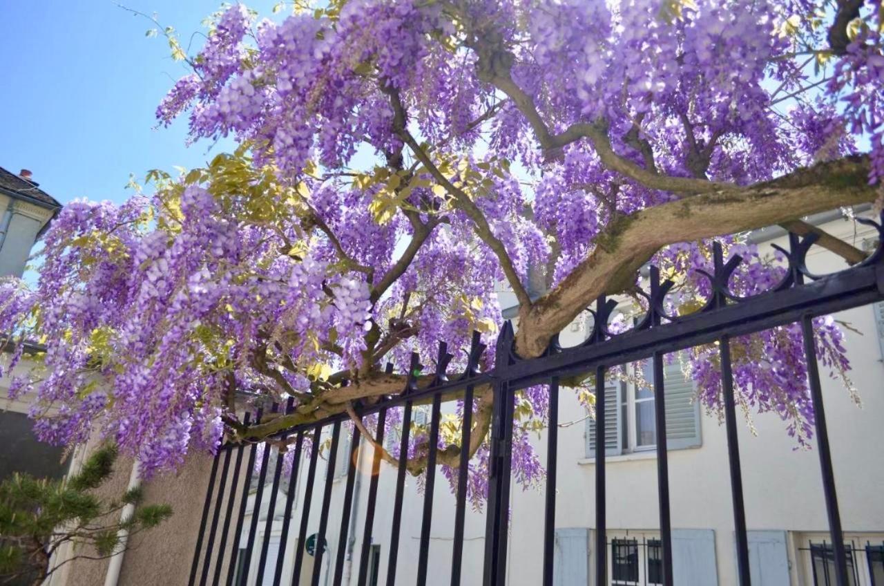 Bed and Breakfast Wisteria Fontainebleau Zewnętrze zdjęcie