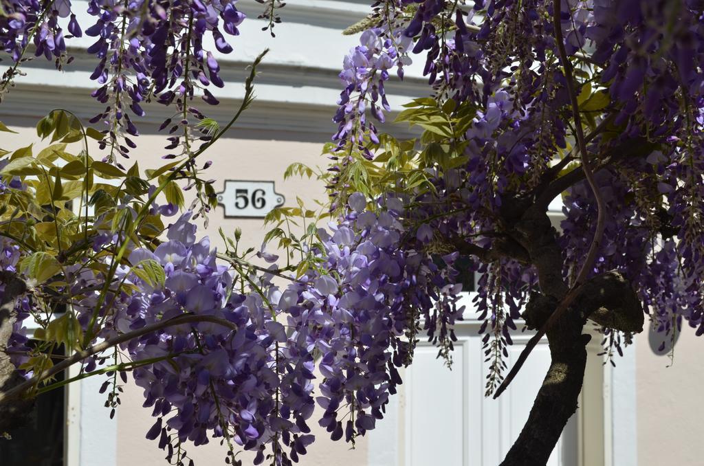 Bed and Breakfast Wisteria Fontainebleau Zewnętrze zdjęcie